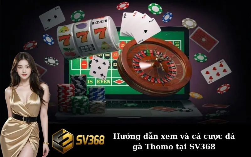 Hướng dẫn xem và cá cược đá gà Thomo tại SV368